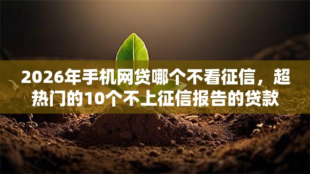 2026年手机网贷哪个不看征信，超热门的10个不上征信报告的贷款软件推荐