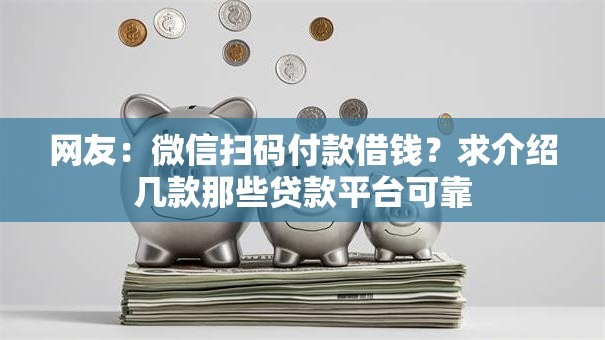 网友：微信扫码付款借钱？求介绍几款那些贷款平台可靠