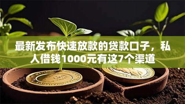 最新发布快速放款的贷款口子，私人借钱1000元有这7个渠道