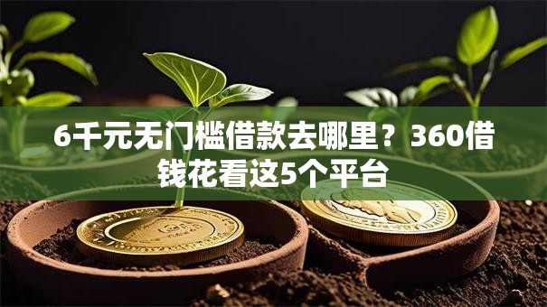 6千元无门槛借款去哪里？360借钱花看这5个平台