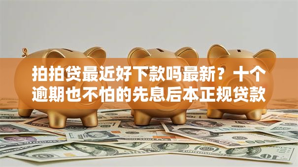 拍拍贷最近好下款吗最新？十个逾期也不怕的先息后本正规贷款平台