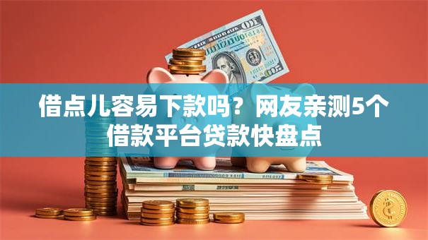 借点儿容易下款吗？网友亲测5个借款平台贷款快盘点