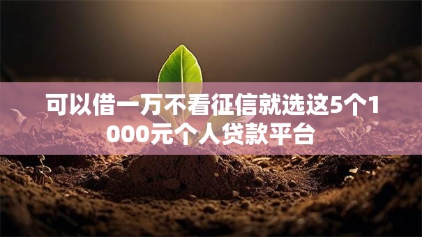可以借一万不看征信就选这5个1000元个人贷款平台