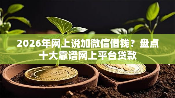 2026年网上说加微信借钱？盘点十大靠谱网上平台贷款