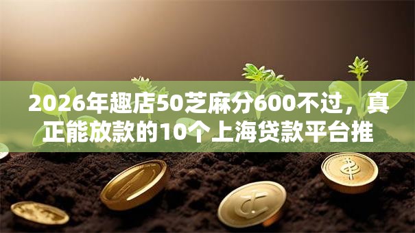 2026年趣店50芝麻分600不过，真正能放款的10个上海贷款平台推荐