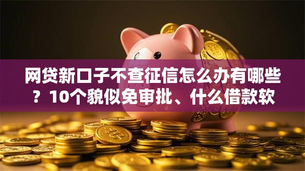 网贷新口子不查征信怎么办有哪些？10个貌似免审批、什么借款软件绝对能借到钱合集