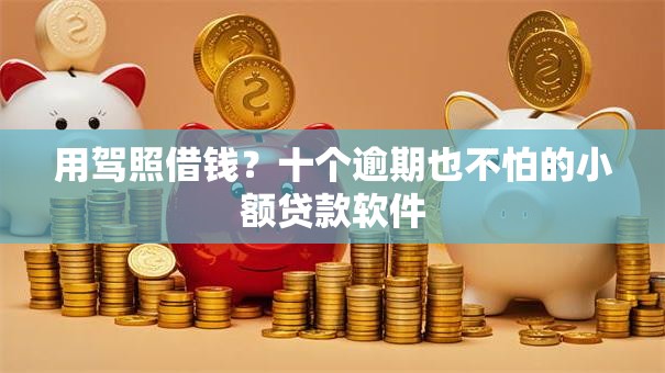 用驾照借钱？十个逾期也不怕的小额贷款软件