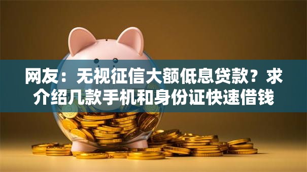 网友：无视征信大额低息贷款？求介绍几款手机和身份证快速借钱软件