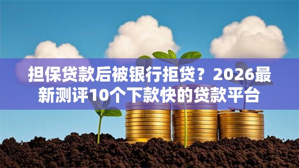 担保贷款后被银行拒贷？2026最新测评10个下款快的贷款平台