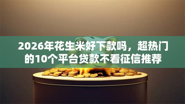 2026年花生米好下款吗，超热门的10个平台贷款不看征信推荐