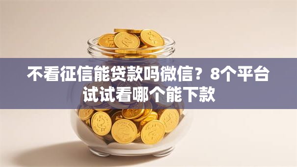 不看征信能贷款吗微信？8个平台试试看哪个能下款