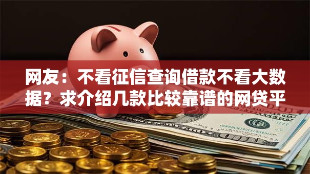 网友：不看征信查询借款不看大数据？求介绍几款比较靠谱的网贷平台