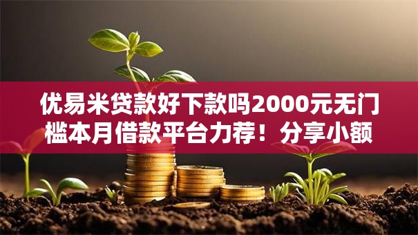 优易米贷款好下款吗2000元无门槛本月借款平台力荐！分享小额网贷口子2000元无门槛借款