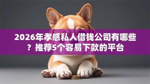 2026年孝感私人借钱公司有哪些？推荐5个容易下款的平台
