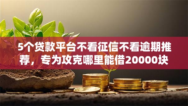 5个贷款平台不看征信不看逾期推荐，专为攻克哪里能借20000块钱难题