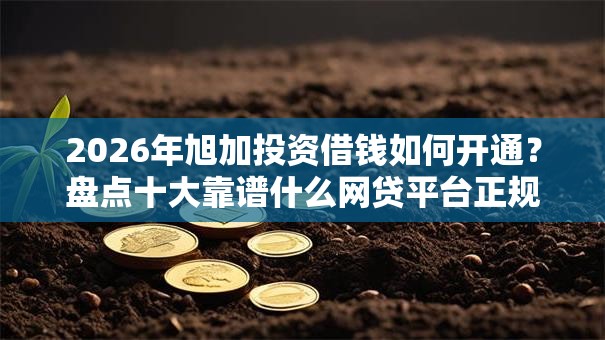 2026年旭加投资借钱如何开通？盘点十大靠谱什么网贷平台正规