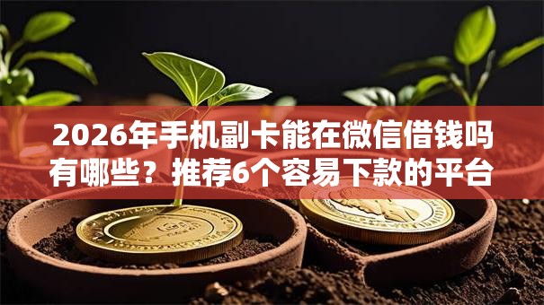 2026年手机副卡能在微信借钱吗有哪些？推荐6个容易下款的平台
