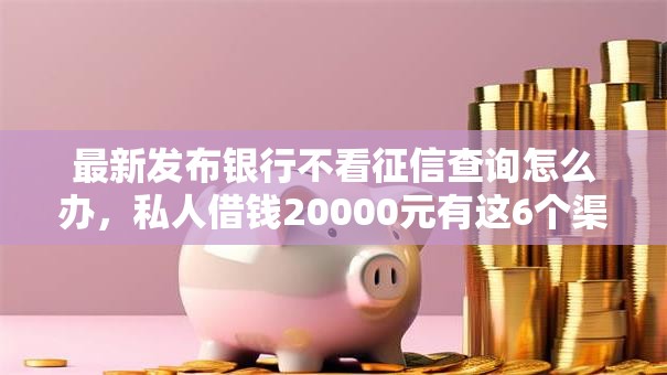 最新发布银行不看征信查询怎么办，私人借钱20000元有这6个渠道