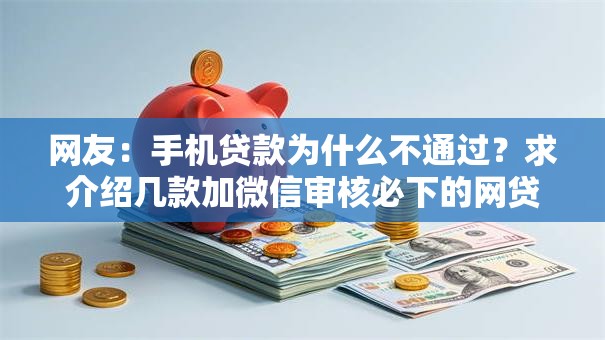 网友：手机贷款为什么不通过？求介绍几款加微信审核必下的网贷平台