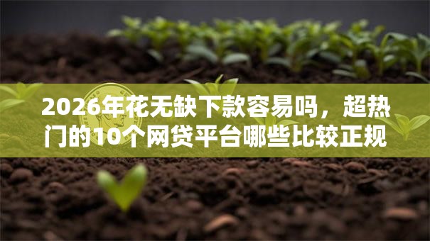 2026年花无缺下款容易吗，超热门的10个网贷平台哪些比较正规推荐