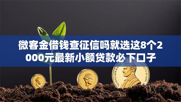 微客金借钱查征信吗就选这8个2000元最新小额贷款必下口子