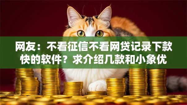 网友：不看征信不看网贷记录下款快的软件？求介绍几款和小象优品一样的平台