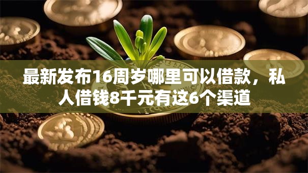 最新发布16周岁哪里可以借款,私人借钱8千元有这6个渠道 最新发布16周岁哪里可以借款,私人借钱8千元有这6个渠道