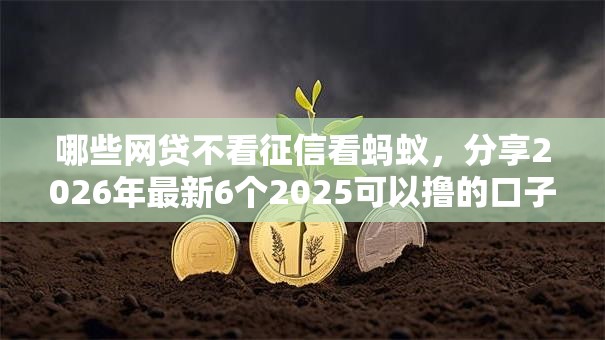 哪些网贷不看征信看蚂蚁，分享2026年最新6个2025可以撸的口子