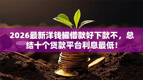2026最新洋钱罐借款好下款不，总结十个贷款平台利息最低！