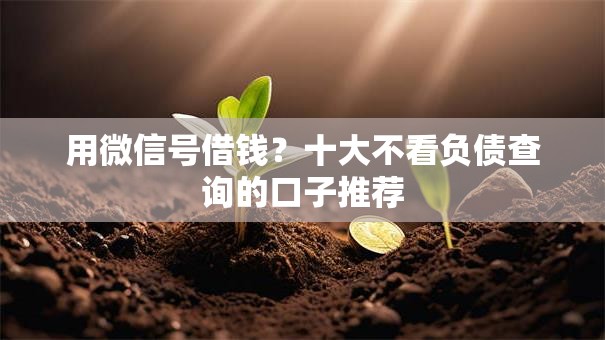 用微信号借钱？十大不看负债查询的口子推荐