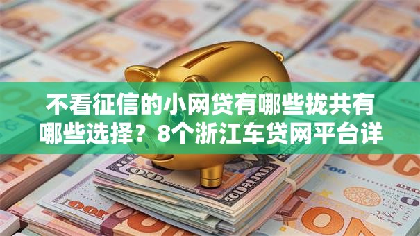 不看征信的小网贷有哪些拢共有哪些选择？8个浙江车贷网平台详解