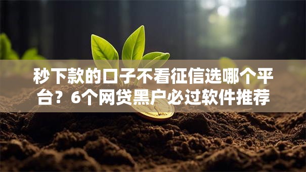 秒下款的口子不看征信选哪个平台？6个网贷黑户必过软件推荐