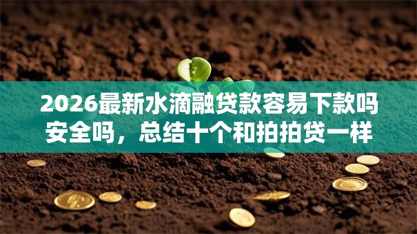 2026最新水滴融贷款容易下款吗安全吗，总结十个和拍拍贷一样容易借钱的平台！