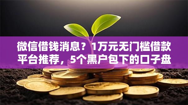 微信借钱消息？1万元无门槛借款平台推荐，5个黑户包下的口子盘点