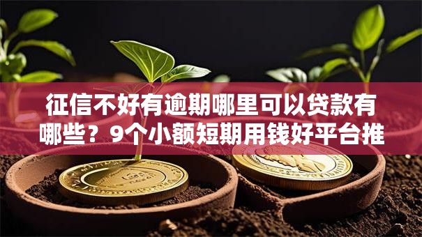 征信不好有逾期哪里可以贷款有哪些？9个小额短期用钱好平台推荐给你