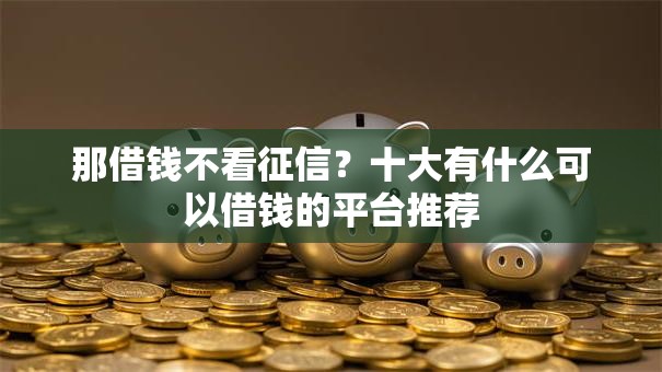 那借钱不看征信？十大有什么可以借钱的平台推荐