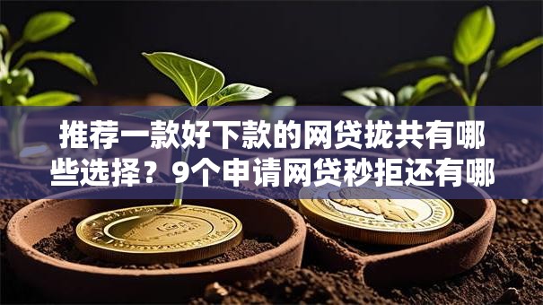 推荐一款好下款的网贷拢共有哪些选择？9个申请网贷秒拒还有哪几个平台可以借详解
