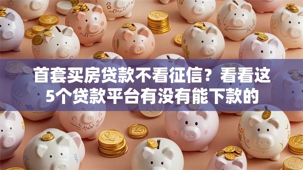 首套买房贷款不看征信？看看这5个贷款平台有没有能下款的