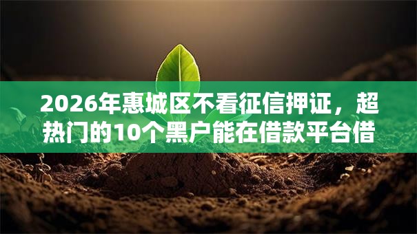 2026年惠城区不看征信押证，超热门的10个黑户能在借款平台借到钱推荐