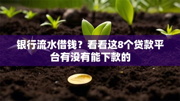 银行流水借钱？看看这8个贷款平台有没有能下款的