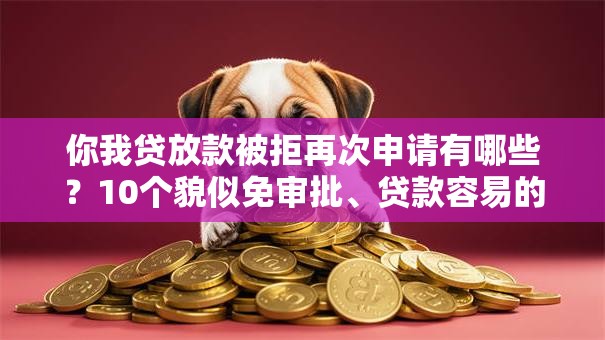 你我贷放款被拒再次申请有哪些？10个貌似免审批、贷款容易的平台合集