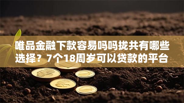 唯品金融下款容易吗吗拢共有哪些选择?7个18周岁可以贷款的平台详解 唯品金融下款容易吗吗拢共有哪些选择?7个18周岁可以贷款的平台详解