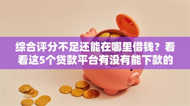 综合评分不足还能在哪里借钱？看看这5个贷款平台有没有能下款的