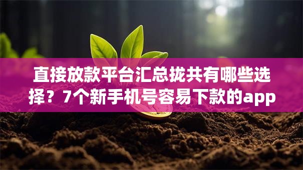 直接放款平台汇总拢共有哪些选择？7个新手机号容易下款的app详解
