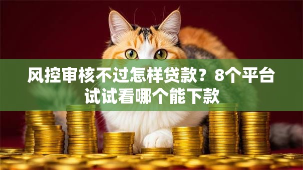 风控审核不过怎样贷款？8个平台试试看哪个能下款