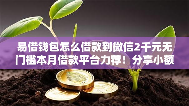 易借钱包怎么借款到微信2千元无门槛本月借款平台力荐！分享小额网贷口子2千元无门槛借款