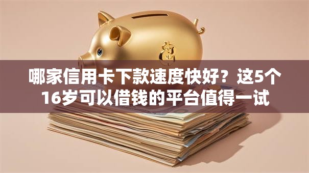 哪家信用卡下款速度快好？这5个16岁可以借钱的平台值得一试