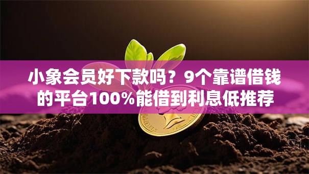 小象会员好下款吗？9个靠谱借钱的平台100%能借到利息低推荐