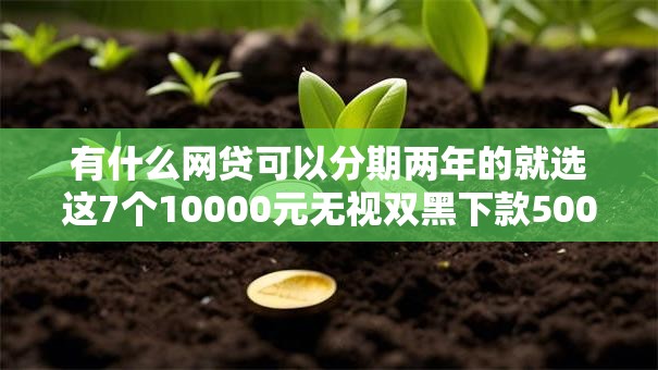 有什么网贷可以分期两年的就选这7个10000元无视双黑下款5000的口子