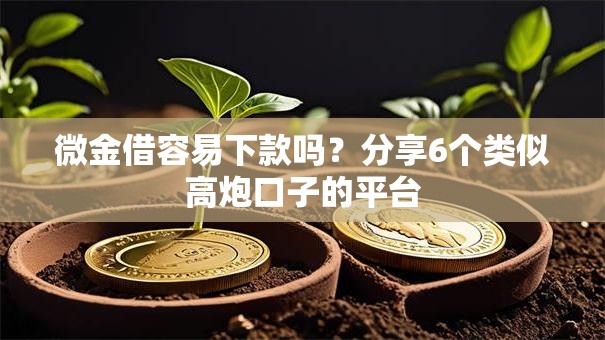 微金借容易下款吗？分享6个类似高炮口子的平台